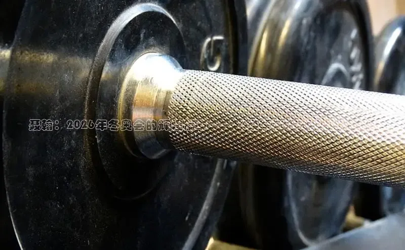 熊猫体育app官网入口